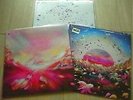 LISTEN   & NEW   NUJABES 12inch X 3 / SHING02 Luv (sic) Part 5, 6, Reflection