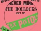 Sex Pistols - Never Mind The Bollocks RSD 2016 Us Artwork Picture Disc New