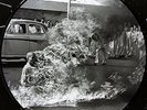 Rage Against The Machine NEW VINYL LP PICTURE DISC *FREE UK POST *WORLD SHIP