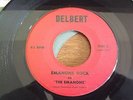 Rocker, The Emanons, Emanons Rock, Delbert # 5291?