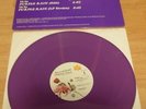 PRINCE AND THE REVOLUTION 12