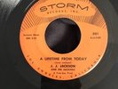 A Lifetime From Today - Jackels - Storm