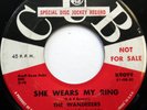 The WANDERERS 45 She Wears My Ring / Somebody Else's.. CUB promo DOO WOP mg1027