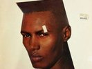 Grace Jones - Living My Life (LP, Album) - Vinyl - 69612