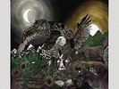 AVATAR-FEATHERS AND FLESH-VINYL LP (2) ANOTHER CENTURY NEU
