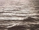 REICH, Steve - Four Organs/Phase Patterns - Vinyl (gatefold LP)