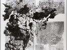 Rogue Moon [Vinyl] The Howling Hex Vinyl