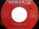 BERMUDA STROLLERS 45 Bermuda Buggy Ride VG++ Calypso DOO WOP Bopper e6894
