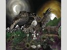 Avatar - Feathers & Flesh