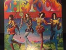 The Fool LP original vinyl record mercury vinyl album psych acid rock