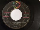 RARE DEEP SOUL 45/ DIAMOND JOE 