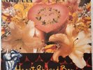 Nirvana - Heart Shaped box - Geffen Transparent Red Vinyl 7