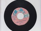 RASTA BROTHERS/ CHILDREN OF THE EMPEROR  -  JOHN HALL  ( DIGI ROOTS 7