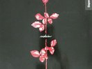 Depeche Mode ?– Violator GERMAN VINYL LP INT146.859 Stumm64  Mute OIS