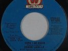 70s Soul 45 - Denise LaSalle - Here I Am Again - Westbound - mp3