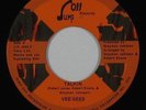 Crossover Soul 45 - Vee Gees - Talkin - Jump Off - VG++ mp3 - rare