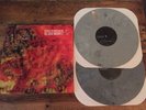 BETWEEN THE BURIED AND ME THE GREAT MISDIRECT VINYL 2xLP GREY SWIRL OOP RARE