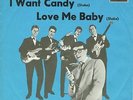 7 45 Brian Poole & The Tremeloes-I Want Candy BEAT GER PS