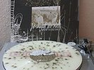 Portugal. The Man Waiter: You Vultures 1st press /500 cage the elephant
