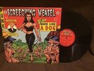 Screeching Weasel Bark Like a Dog LP Fat Wreck Riverdales The Queers Ben Weasel
