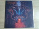Vinyl LP Dismember - Like An Ever Flowing Stream NB 047 1.Press original 1991