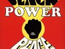 BLACK POWER - The Peace Vinyl Record LP Brand new Digital download included