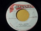 The Righteous Flames -Soul Sister /Reggae 45