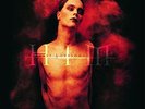 HIM-GREATEST LOVE SONGS VOL 666 (RMST)  (US IMPORT)  VINYL LP NEW