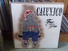 CALEXICO Feast of Wire 2003 VINYL LP City Slang 1st PRESS