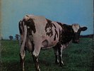 LP: Pink Floyd  