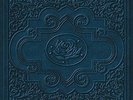 RYAN ADAMS &  CARDINALS - COLD ROSES NEW VINYL