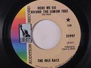 IDLE RACE: Here We Go Round The Lemon Tree / My Father's Son 45 (dj, # wol, w/