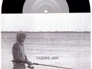 Tigers Jaw 