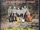 SHENANDOAH CUTUPS - Tribute to the Louvin Brothers | RARE bluegrass Revonah LP