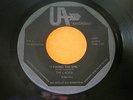 The Ladds - I Found The Girl / Survival UA Records MN 45 Garage Rock - VG+ Sound