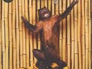  Chk Chk Chk AS IF warp 2 X vinyl LP