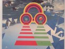 2xVinyl: Fuck Buttons - Street Horrrsing