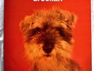 Droolian - Free Roky Erikson vinyl LP -  Julian Cope/Teardrop Explodes