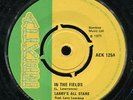 Larry's All Stars - In The Fields UK Ackee 7