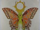 Awakening - Brand New Feeling LP - Ovation VG+ Shrink