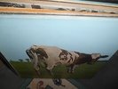 PINK FLOYD ATOM HEART MOTHER 78 RE NM
