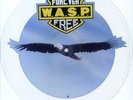 Picture Vinyl W.A.S.P. Forever Free UNCUT TO SHAPE PICTURE 7 NEAR MINT