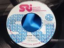 NM Hear Rare Funk Soul 45 : Miami Bump   The Rising Sun - SRI Spector 1001