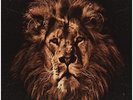 John Butler Trio - April Uprising - Double Vinyl LP + CD - Pre Order - 17/6