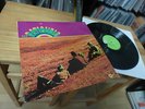 THE RATIONALS SAME LP IN 1969 MINT DETROIT PSYCH PROG. RARE