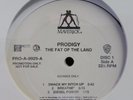 Prodigy: The fat of the land x2 promo   LP vinyl record 1k
