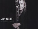 Joe Walsh - Analog Man [Vinyl New]