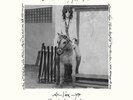 Patti Smith Horses Live Electric Lady Studios 2XLP 180 Gram Vinyl RSD 2016