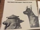 Black Randy & The Metrosquad KBD OriginaI I Slept In An Arcade Dangerhouse M/M