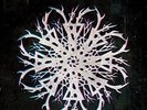 Mammoth Weed Wizard Bastard - Noeth Ac Anoeth [Vinyl New]